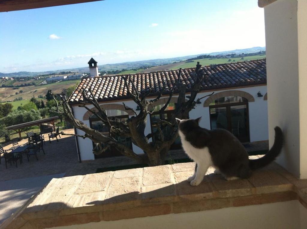 Villa Coralia Agriturismo オージモ エクステリア 写真