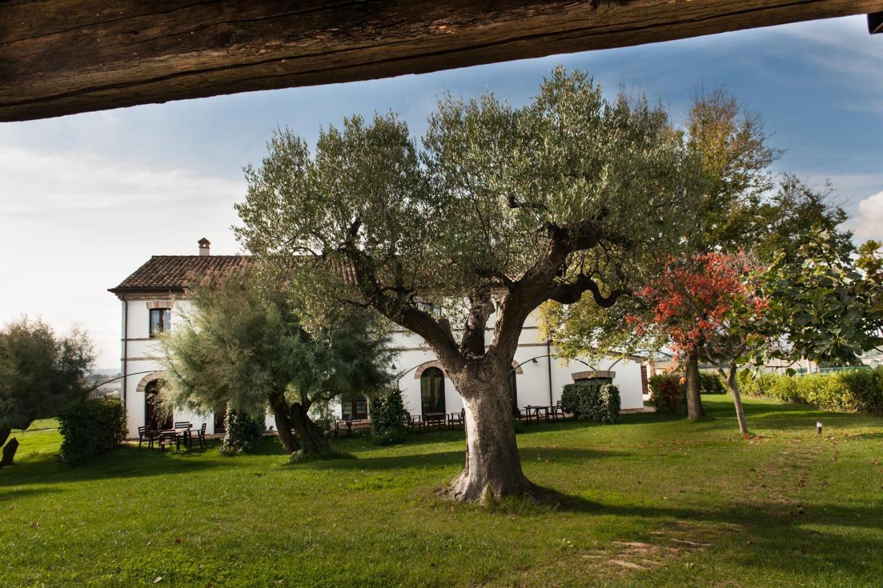 Villa Coralia Agriturismo オージモ エクステリア 写真