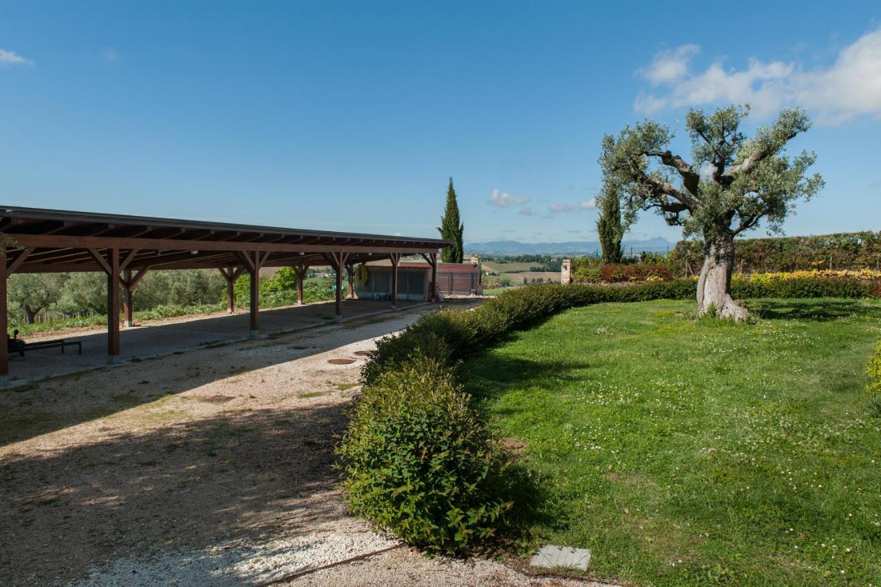 Villa Coralia Agriturismo オージモ エクステリア 写真