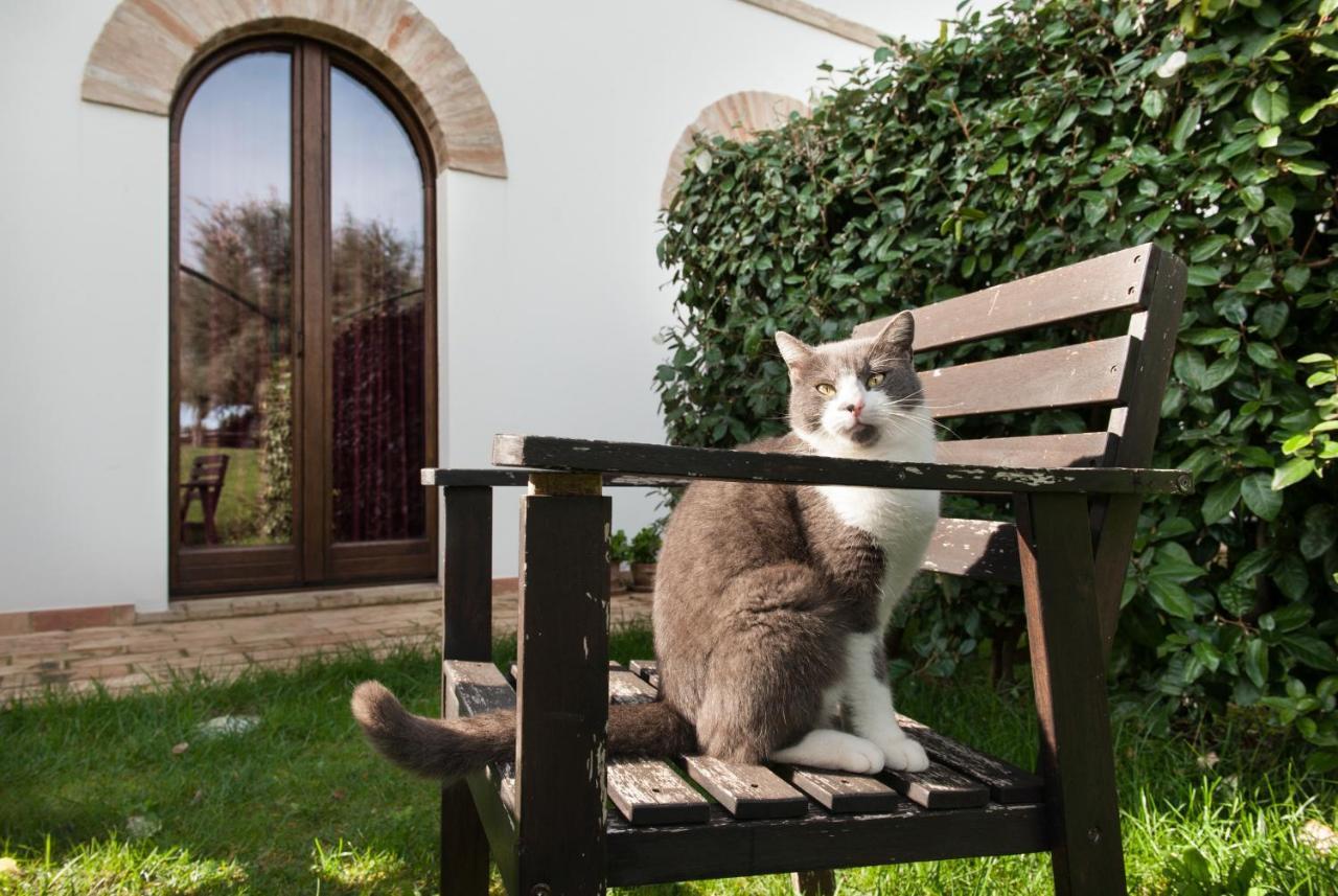 Villa Coralia Agriturismo オージモ エクステリア 写真