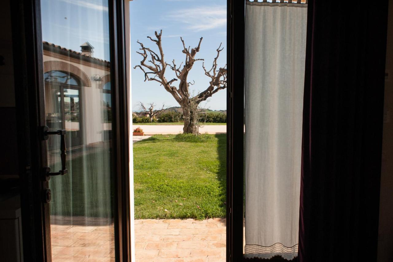 Villa Coralia Agriturismo オージモ エクステリア 写真